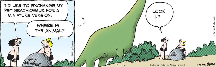 B.C. for Jan 03, 2025