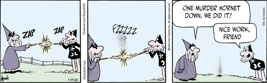 Wizard of Id for Jan 17, 2022