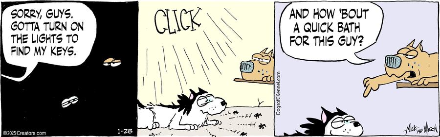 Dogs of C-Kennel for Jan 28, 2025