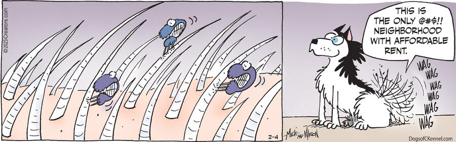 Dogs of C-Kennel for Feb 04, 2025