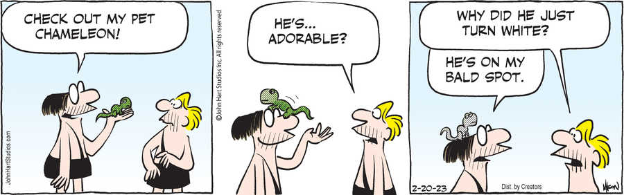 B.C. for Feb 20, 2023