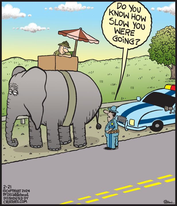 Free Range for Feb 21, 2024