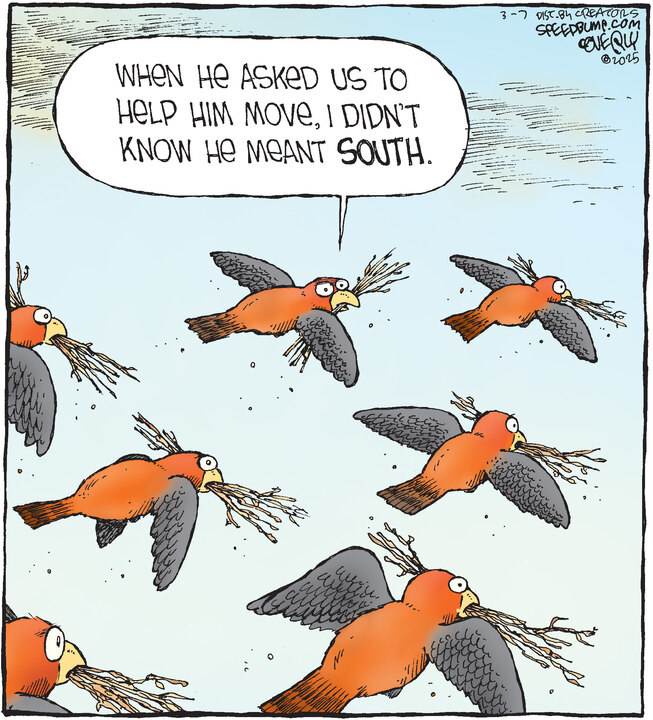 Speed Bump for Mar 07, 2025