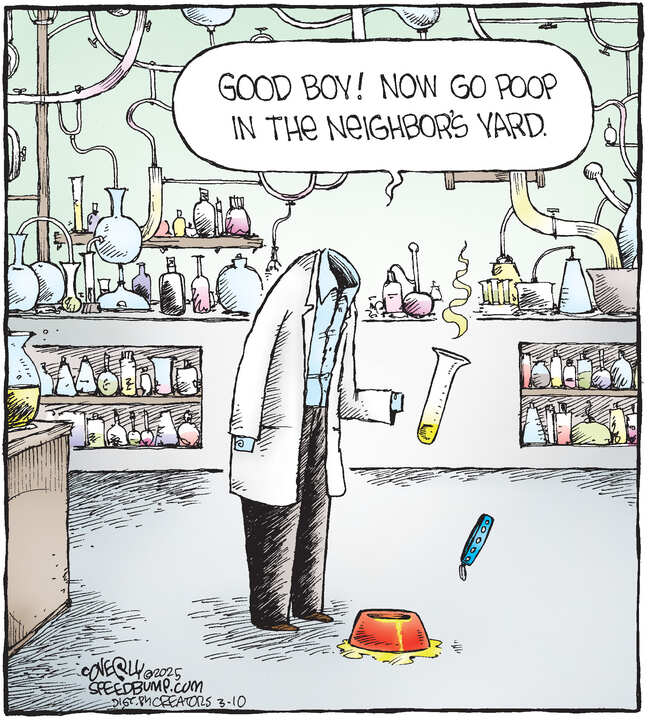 Speed Bump for Mar 10, 2025