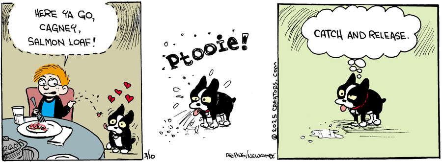 Zack Hill for Mar 10, 2025