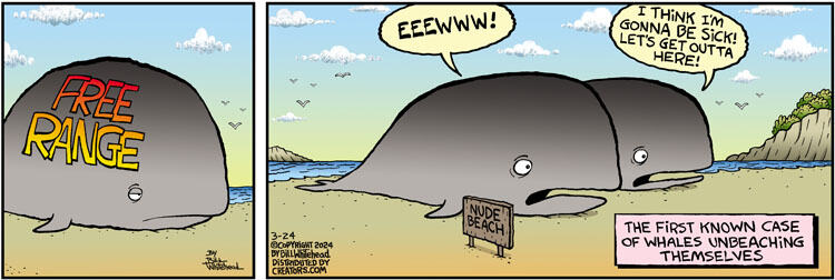 Free Range for Mar 24, 2024