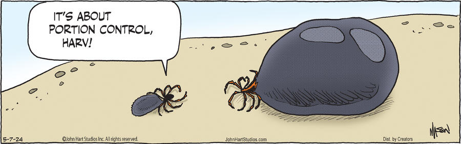 B.C. for May 07, 2024