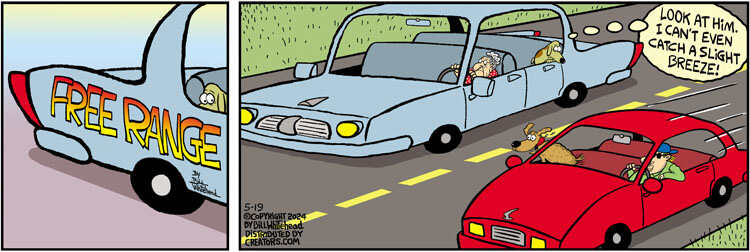 Free Range for May 19, 2024