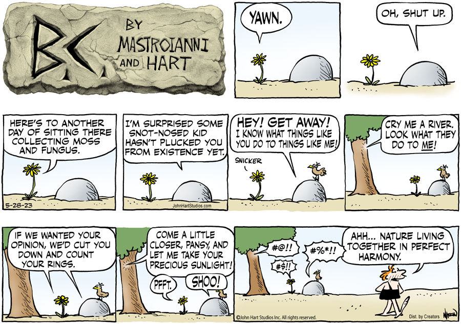 B.C. for May 28, 2023