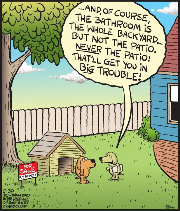 Free Range for May 30, 2023