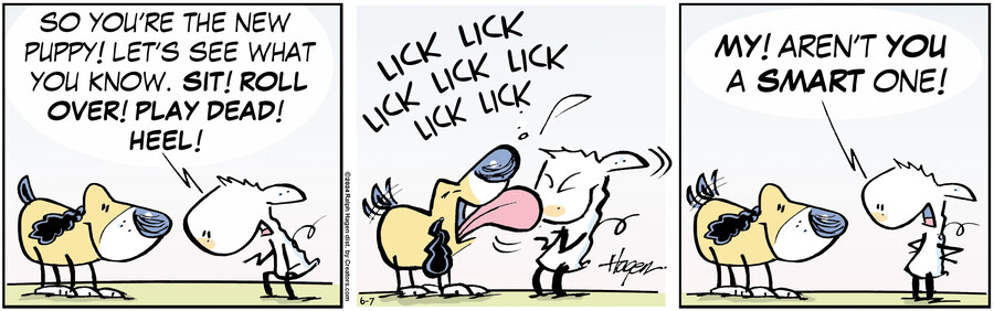 The Barn for Jun 07, 2024