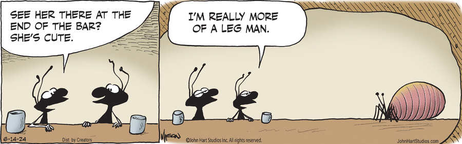 B.C. for Jun 14, 2024