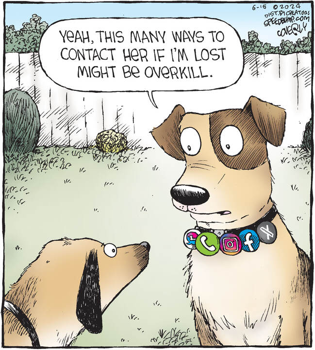 Speed Bump for Jun 15, 2024