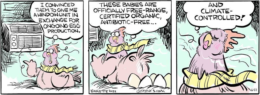 Shrimp and Grits for Jun 22, 2024