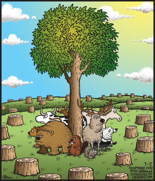 Free Range for Jul 05, 2022