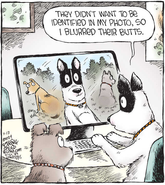 Speed Bump for Jul 13, 2024