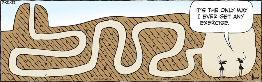 B.C. for Jul 21, 2022