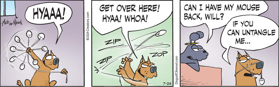Dogs of C-Kennel for Jul 24, 2024