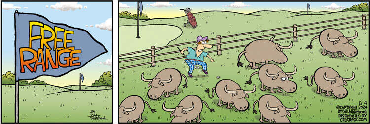 Free Range for Aug 04, 2024