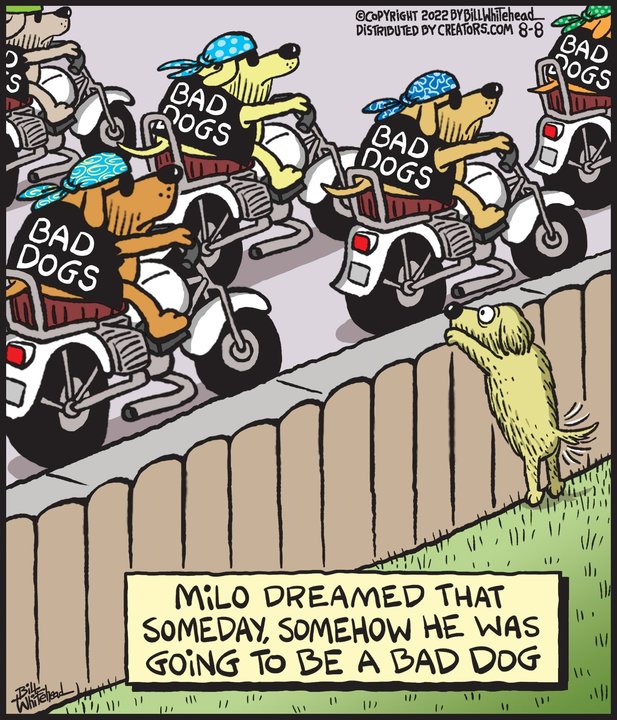 Free Range for Aug 08, 2022