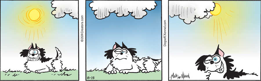 Dogs of C-Kennel for Aug 15, 2024