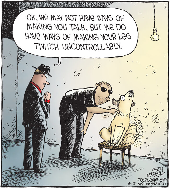 Speed Bump for Aug 21, 2024