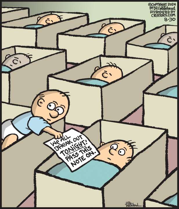 Free Range for Aug 30, 2024