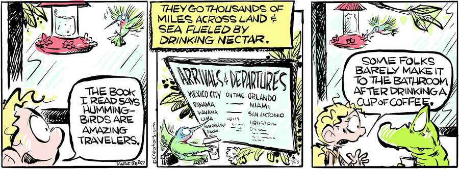 Shrimp and Grits for Sep 03, 2024