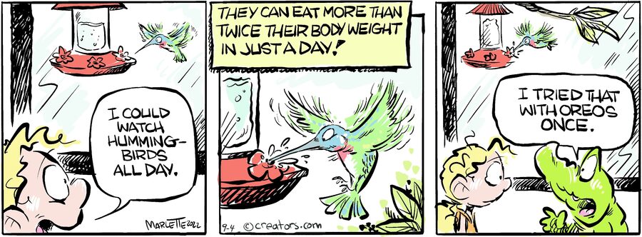 Shrimp and Grits for Sep 04, 2024