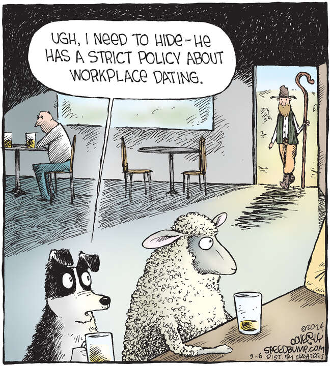 Speed Bump for Sep 06, 2024