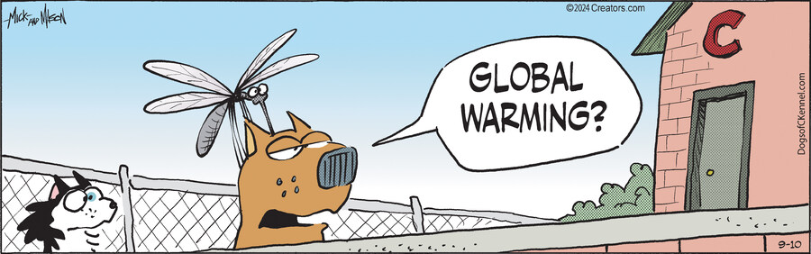 Dogs of C-Kennel for Sep 10, 2024