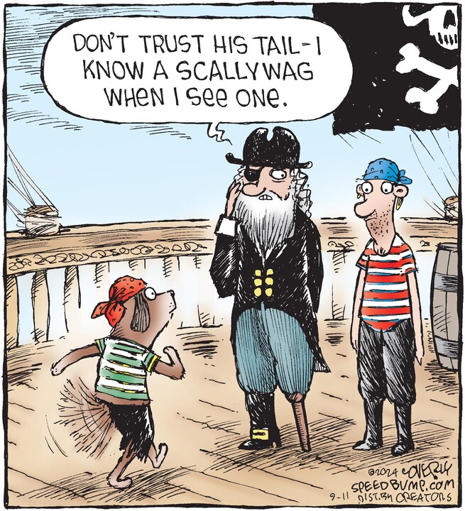 Speed Bump for Sep 11, 2024