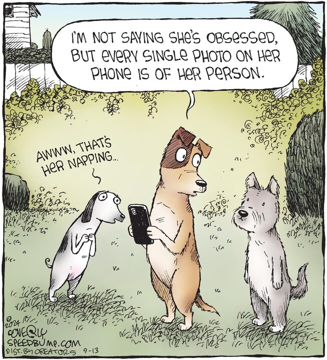 Speed Bump for Sep 13, 2024