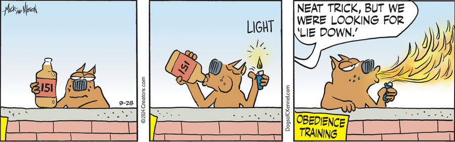 Dogs of C-Kennel for Sep 28, 2024
