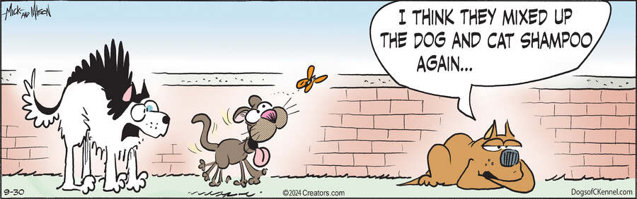 Dogs of C-Kennel for Sep 30, 2024
