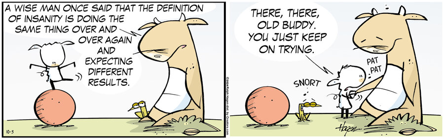 The Barn for Oct 03, 2024