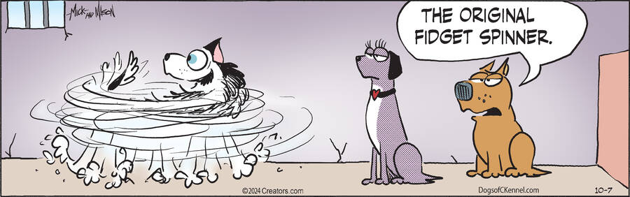 Dogs of C-Kennel for Oct 07, 2024