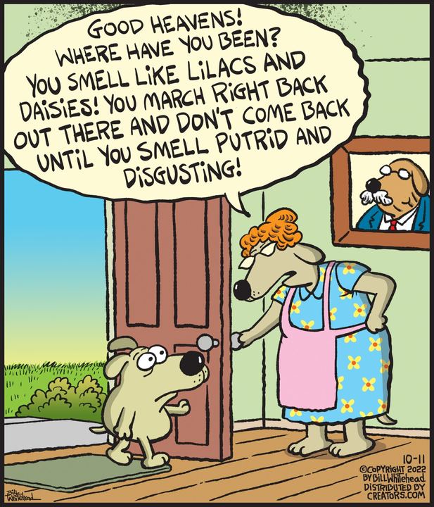 Free Range for Oct 11, 2022