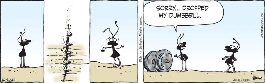 B.C. for Oct 11, 2024