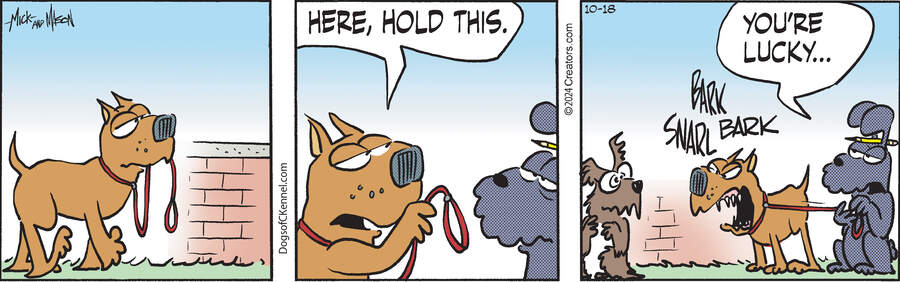 Dogs of C-Kennel for Oct 18, 2024