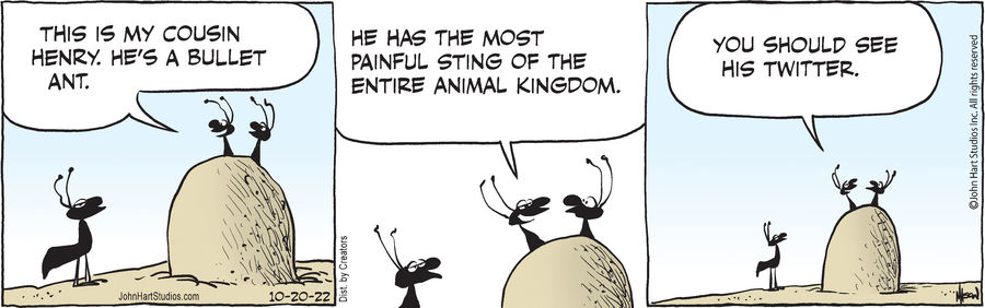 B.C. for Oct 20, 2022