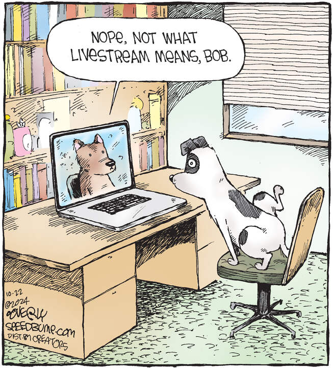 Speed Bump for Oct 22, 2024