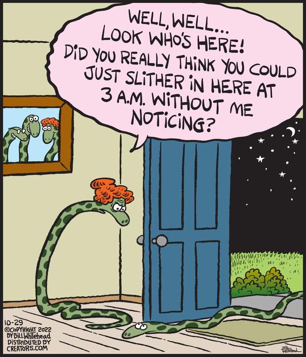 Free Range for Oct 29, 2022