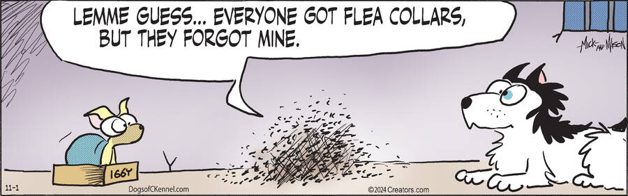 Dogs of C-Kennel for Nov 01, 2024