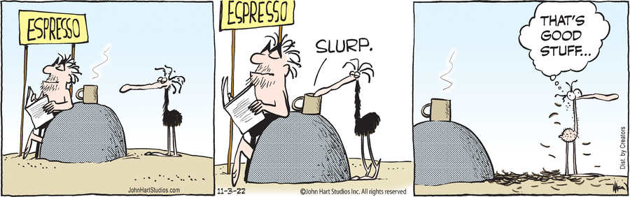 B.C. for Nov 03, 2022