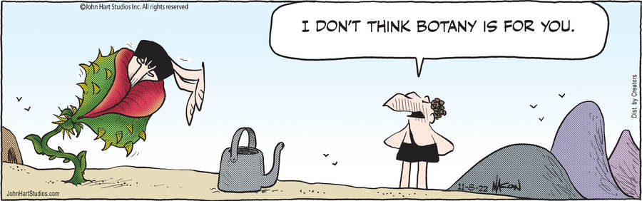 B.C. for Nov 08, 2022