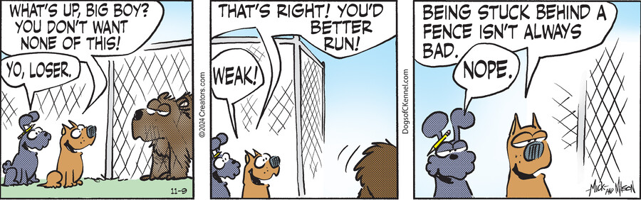 Dogs of C-Kennel for Nov 09, 2024