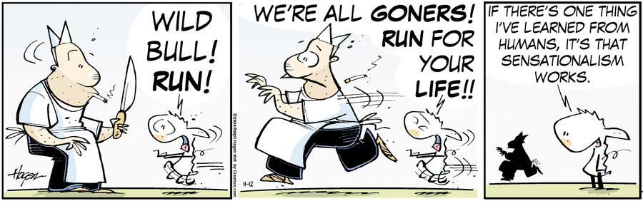 The Barn for Nov 12, 2024