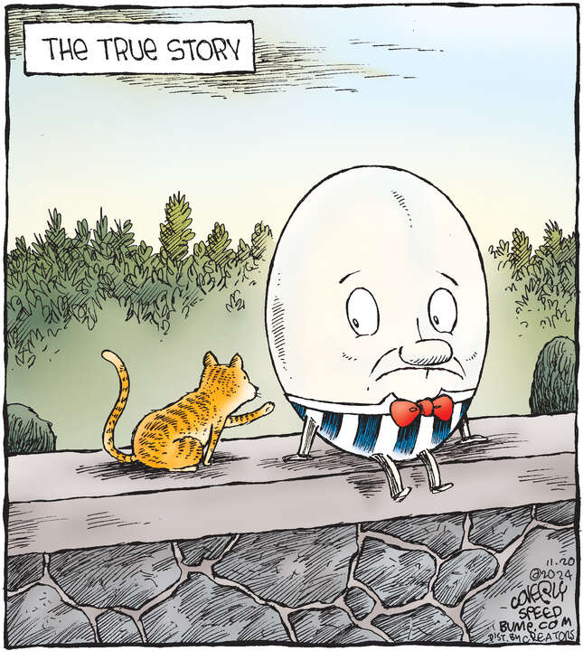 Speed Bump for Nov 20, 2024