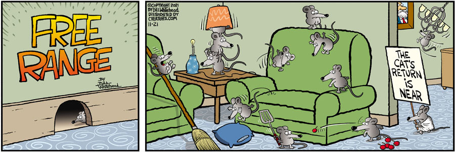 Free Range for Nov 21, 2021